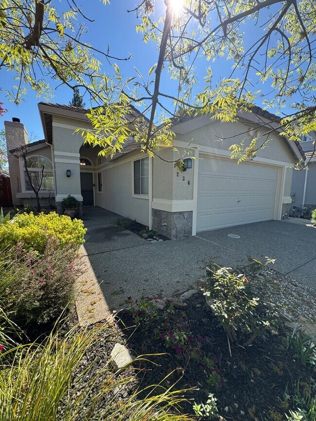 property at 236 Rochelle Ct