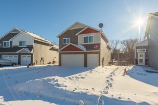 30516 Revere Ave in Shafer, MN - Building Photo
