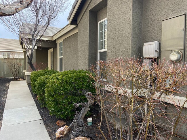 10412 Chadwell Dr in Reno, NV - Building Photo - Building Photo