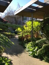 111 Elm St in San Mateo, CA - Building Photo - Building Photo