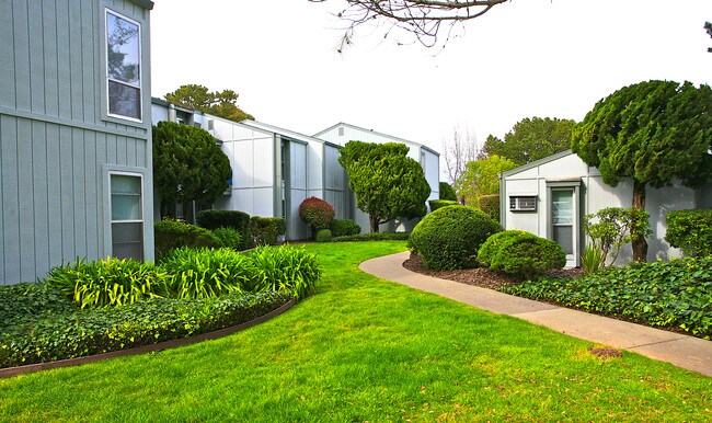 Hill Valley Apartments in Novato, CA - Foto de edificio - Building Photo