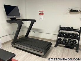 1258 Massachusetts Ave in Boston, MA - Building Photo