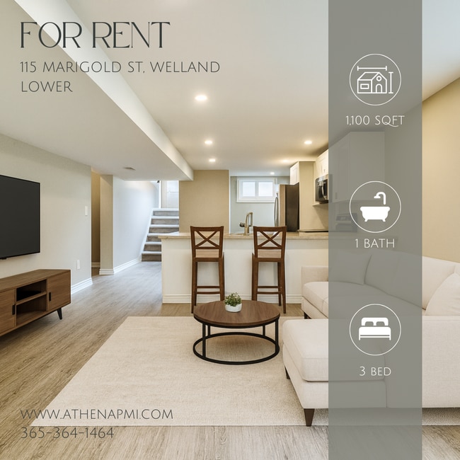 property at 115 Marigold St