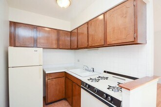 533 W Aldine Ave in Chicago, IL - Building Photo - Building Photo