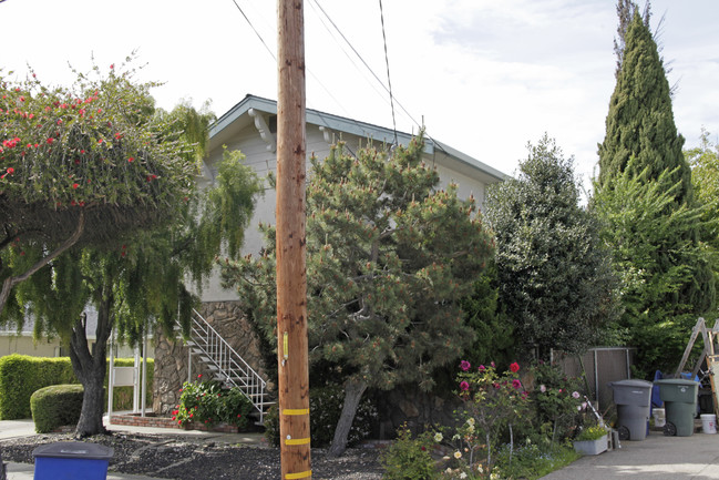 538 Juana Ave in San Leandro, CA - Foto de edificio - Building Photo