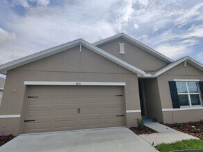 8851 Bower Bass Cir in Wesley Chapel, FL - Building Photo - Building Photo