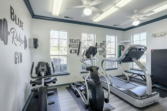 Blue Ridge Apartments in Johnson City, TN - Building Photo - Building Photo