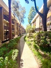6202 Friars Rd, Unit 302 in San Diego, CA - Building Photo - Building Photo