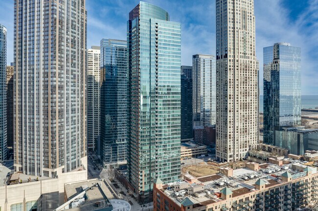ParkView Condominiums in Chicago, IL - Building Photo - Building Photo