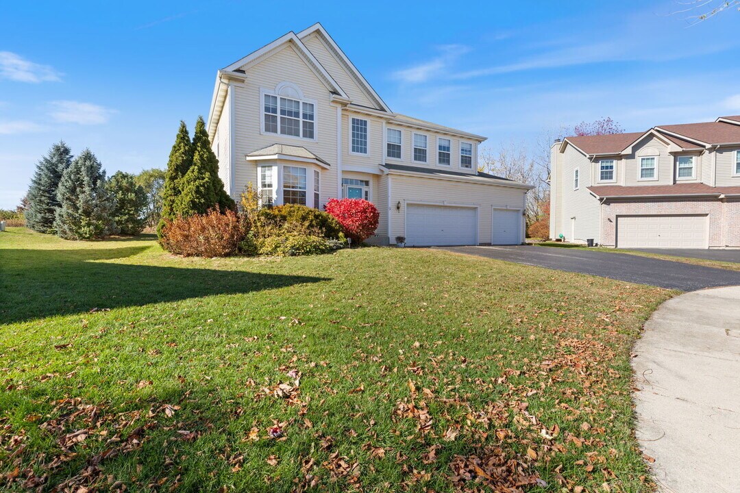 9 Lake Plumleigh Ct in Algonquin, IL - Building Photo