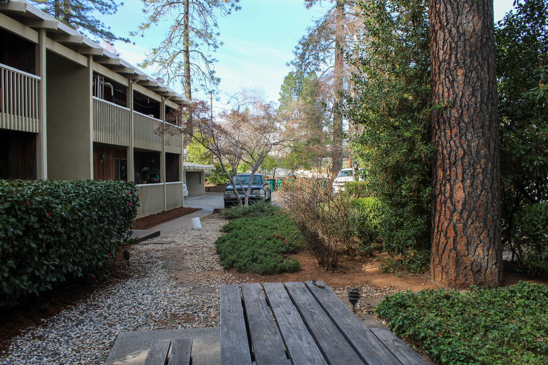 1017 W Main St in Grass Valley, CA - Building Photo