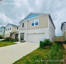34436 Moonflower Ave in Wesley Chapel, FL - Building Photo - Building Photo