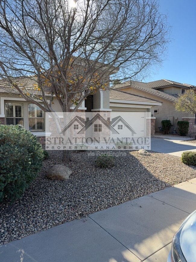 11527 East Starkey Avenue in Mesa, AZ - Building Photo - Building Photo