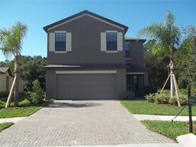 20014 Date Palm Way in Tampa, FL - Building Photo