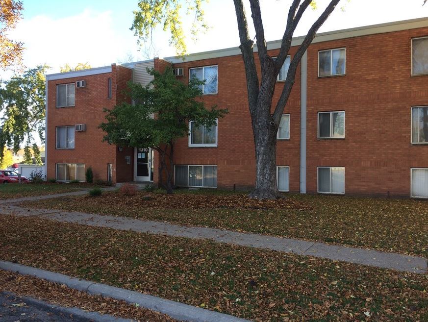 1310 N Park St in St. Paul, MN - Building Photo