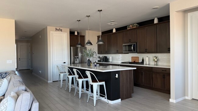 40586 W Crane Dr in Maricopa, AZ - Building Photo - Building Photo