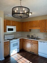 1006 Bobcat Dr in Clarksville, TN - Foto de edificio - Building Photo