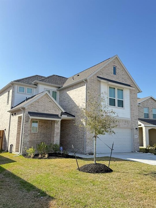 10506 Wildflower Vw Dr in Rosharon, TX - Building Photo