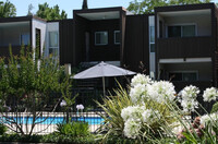 Walnut Avenue Apartments in Carmichael, CA - Foto de edificio - Building Photo