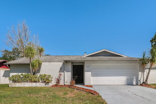 3207 Acapulco Dr in Riverview, FL - Building Photo