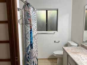 5008 Mahinahina St in Lahaina, HI - Building Photo - Building Photo