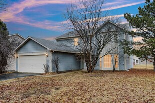 3985 Ludington Ct in Hanover Park, IL - Building Photo