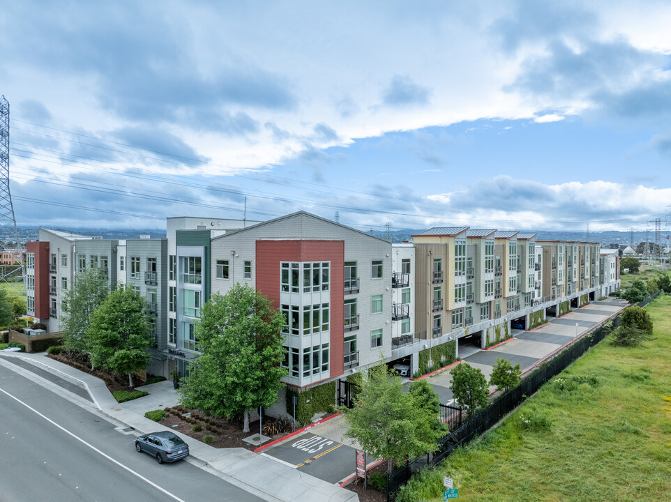 Tidelands in San Mateo, CA - Building Photo