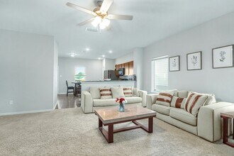 8903 Grey Elm in Elmendorf, TX - Building Photo - Building Photo