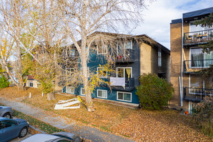 2022 11th Ave SW in Calgary, AB - Building Photo - Building Photo