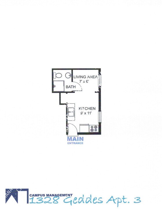 1328 Geddes Ave in Ann Arbor, MI - Building Photo