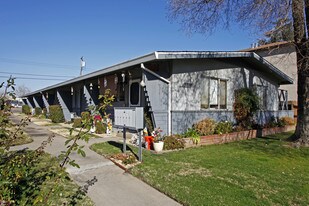 1013 Lochbrae Rd in Sacramento, CA - Building Photo