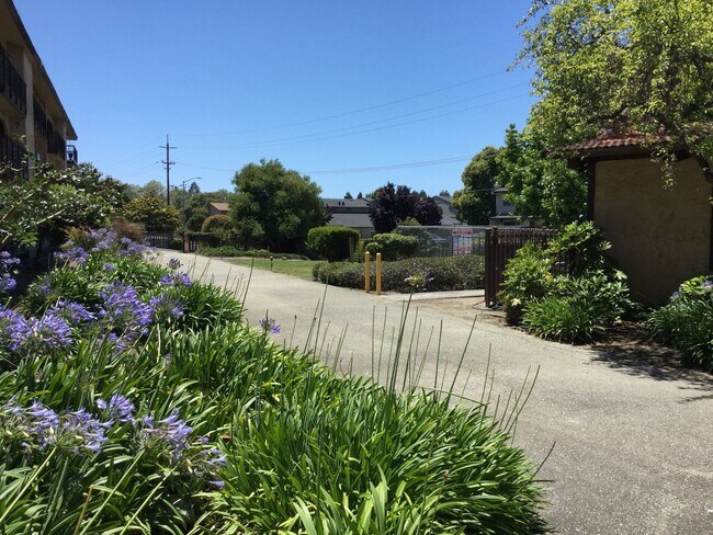 375 Clifford Ave in Watsonville, CA - Building Photo - Building Photo