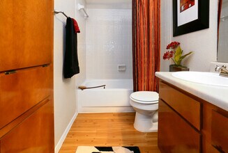 1003 Justin Ln, Unit 07-3061 in Austin, TX - Building Photo - Building Photo