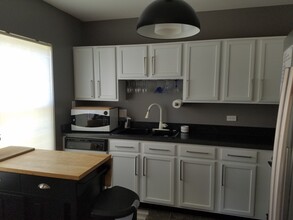 1415 W Split Oak Cir in Round Lake Beach, IL - Building Photo - Building Photo
