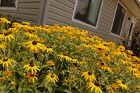 Rugby Square Apartments in Luray, VA - Foto de edificio - Building Photo