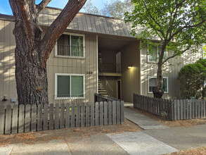 145 Lincoln St in Santa Rosa, CA - Foto de edificio - Building Photo