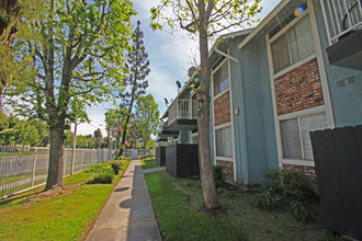 Parc Mountain View Apartments in San Bernardino, CA - Foto de edificio - Building Photo