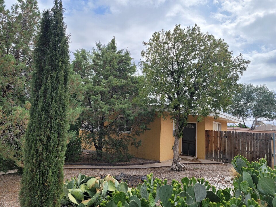 1713 N Delaware Ave in Roswell, NM - Building Photo