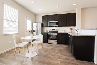 24610 Signorelli Way in Katy, TX - Building Photo - Building Photo