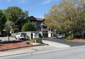 Dry Dock Apartments