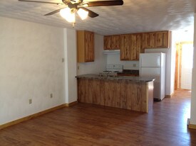 1095 Lakeshore Dr, Unit 1095 in Pioneer, OH - Building Photo