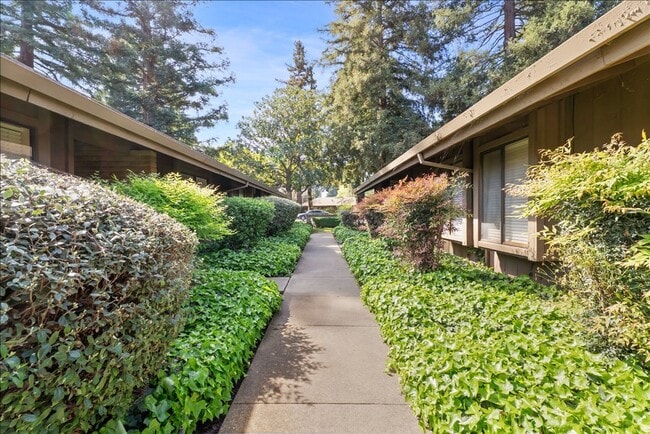 property at 2491-2491 American River Dr