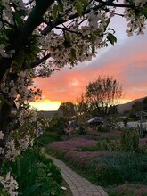 848 E Northridge Ave in Glendora, CA - Foto de edificio - Building Photo