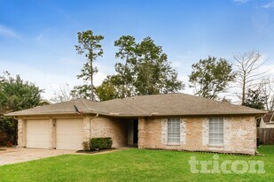 16311 Green Shade Dr in Houston, TX - Building Photo