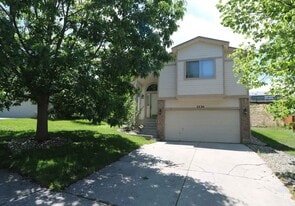 3230 Lally Rook Ct in Colorado Springs, CO - Building Photo