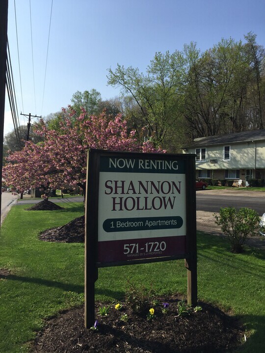 821 Sleepy Hollow Rd in Pittsburgh, PA - Foto de edificio