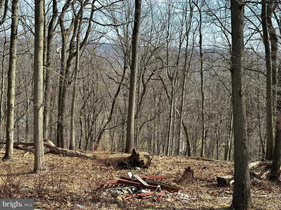 1716 Horse Shoe Trail in Malvern, PA - Foto de edificio