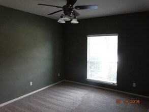 13316 Bugatti Dr in Frisco, TX - Building Photo - Building Photo