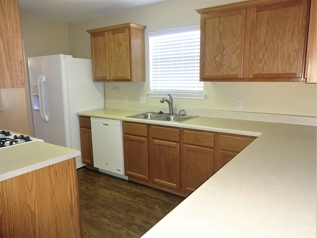 224 Tolcarne Dr in Hutto, TX - Building Photo - Building Photo