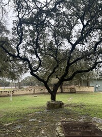 3331 Ranch Rd 12 in San Marcos, TX - Foto de edificio - Building Photo